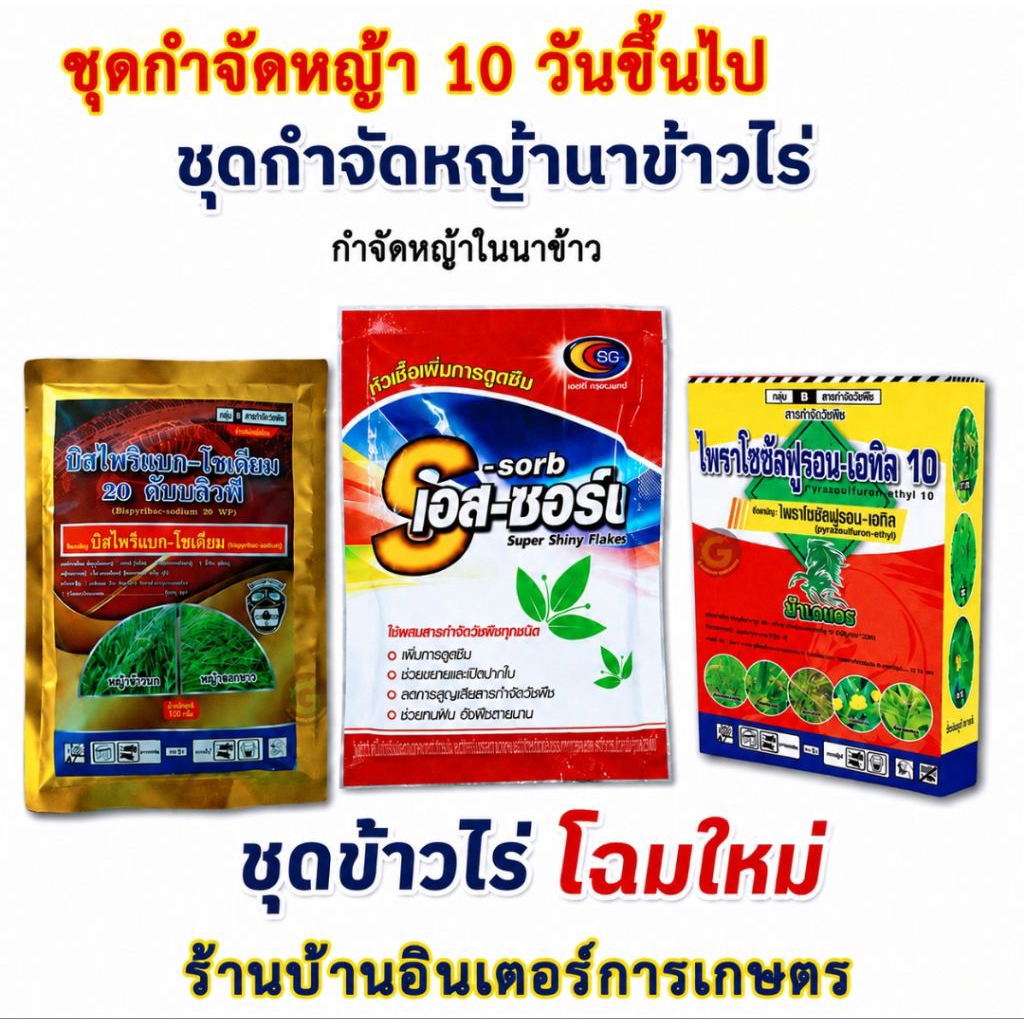 ชุดกำจัดหญ้า ในนาข้าวไร่ 3 แรงบวก กำจัดได้ทั้งวัชพืชใบแคบและวัชพืชใบกว้าง กก โสน ไมยราพ หนวดปลาดุก