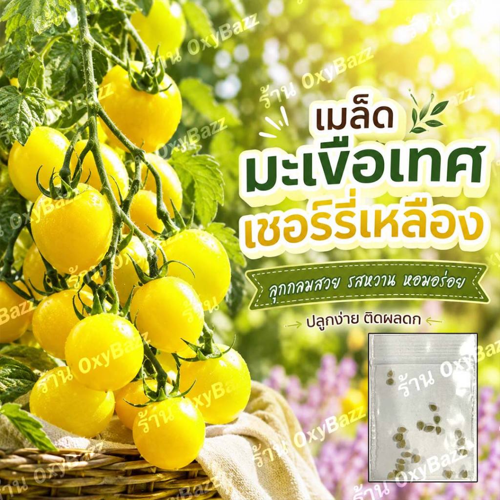เมล็ดพันธุ์มะเขือเทศเชอรี่เหลือง 20เมล็ด มะเขือเทศเชอรี่สีเหลือง Cherry Tomato