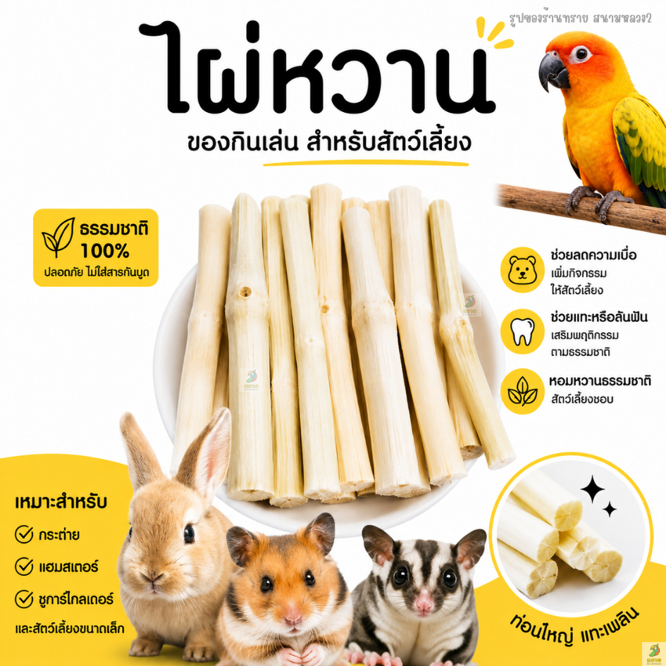 ไผ่หวาน สำหรับสัตว์เลี้ยงขนาดเล็ก | ของกินเล่น ช่วยแทะเพลิน (50-100 G.)