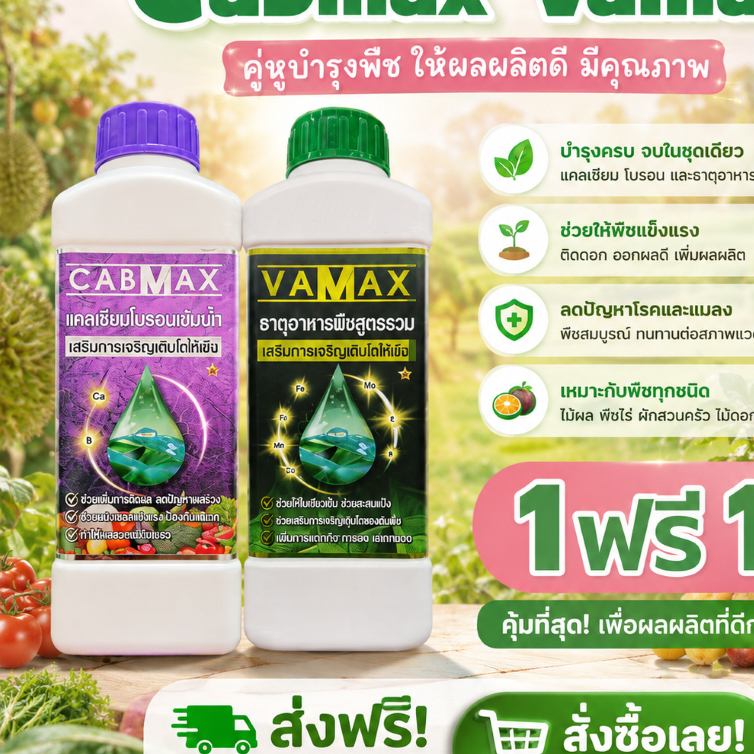 (1C1V)_CABMAX VAMAX ซื้อ 1 แถม 1 แคลเซียมโบรอนเข้มข้น แถมปุ๋ยธาตุรวม ผลดก ขั้วเหนียว ลดร่วง ครบ จบ ใน 1 ชุด