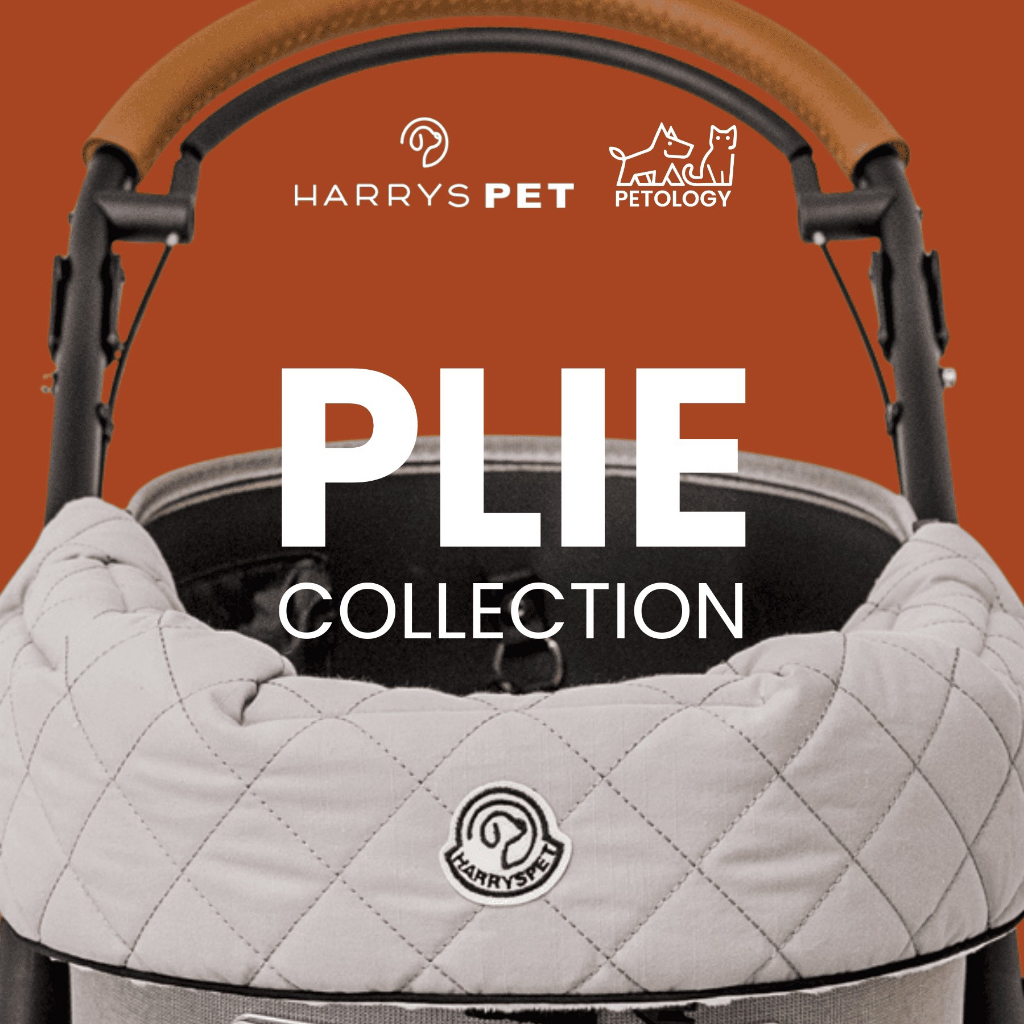 Petology - Harryspet Comforter plie'