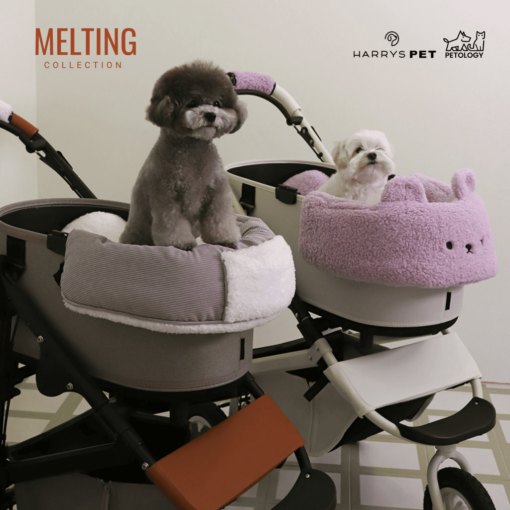 Petology - Harryspet Comforter Melting
