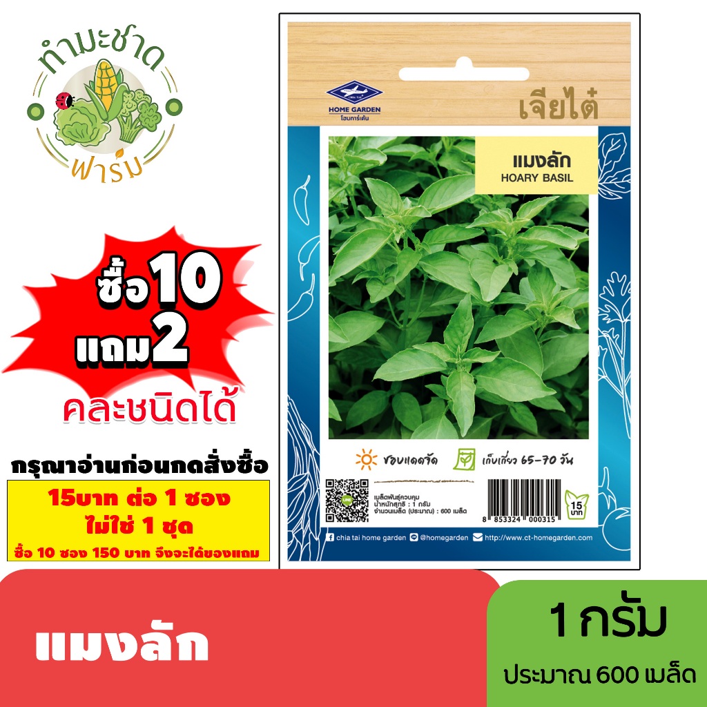 [1ซอง] เจียไต๋ (ซื้อ10แถม2) เมล็ดพันธุ์ แมงลัก ขนาด1กรัม ประมาณ600เมล็ด Hoary Basil กอมก้อข้าว เมล็ดพันธุ์พืช เมล็ดผัก