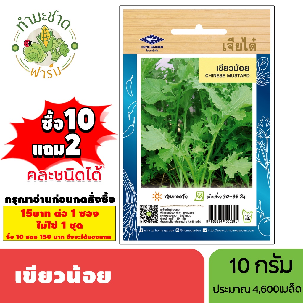 [1ซอง] เจียไต๋ (ซื้อ10แถม2) เมล็ดพันธุ์ เขียวน้อย ขนาด10กรัม ประมาณ4,680เมล็ด Chinese Mustard ผักกาดหิ่น เมล็ดพันธุ์พืช