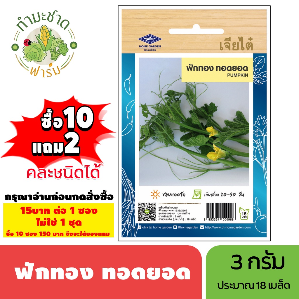 [1ซอง] เจียไต๋ (ซื้อ10แถม2) เมล็ดพันธุ์ ฟักทองทอดยอด ขนาด3กรัม ประมาณ18เมล็ด Pumpkin  ฟักทองกินยอด เมล็ดพันธุ์พืช เมล็ดผ