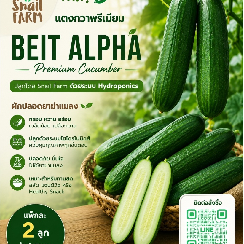 แตงกวาพรีเมียม เบทอัลฟ่า กรอบอร่อย ไส้น้อยเหมาะกับทานสด 2-3 ลูก/แพค น้ำหนักประมาณ 300 กรัม