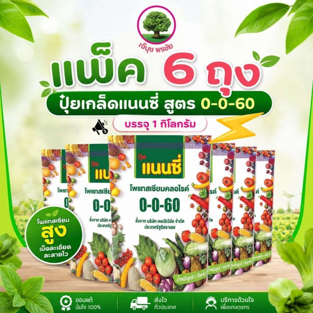 ปุ๋ยเกล็ด แนนซี่ สูตร 0-0-60 (แพ็ค 6 ถุง)⚡สร้างเนื้อ เร่งหวาน น้ำหนักดี 1 กิโลกรัม