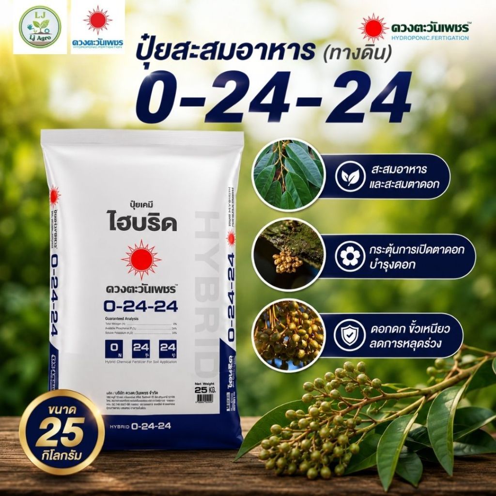 0-24-24 ไฮบริด 25 kg (ดวงตะวันเพชร)กดใบไม่มีไนโตรเจน ลดการแตกยอดอ่อน เร่งดอก #แอลเจอะโกร