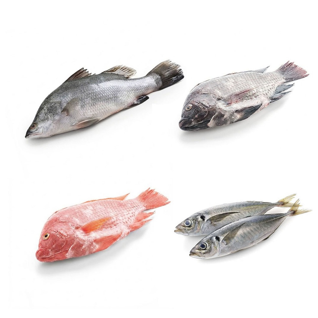 [ส่งทันที 30 นาที] Oishi-Fresh ปลาสด ปลากระพง ปลานิล ปลาทับทิม ปลาทู 1 กก. เนื้อสด สะอาด ปลอดภัย โปรตีนสูง ส่ง 24 ชม.