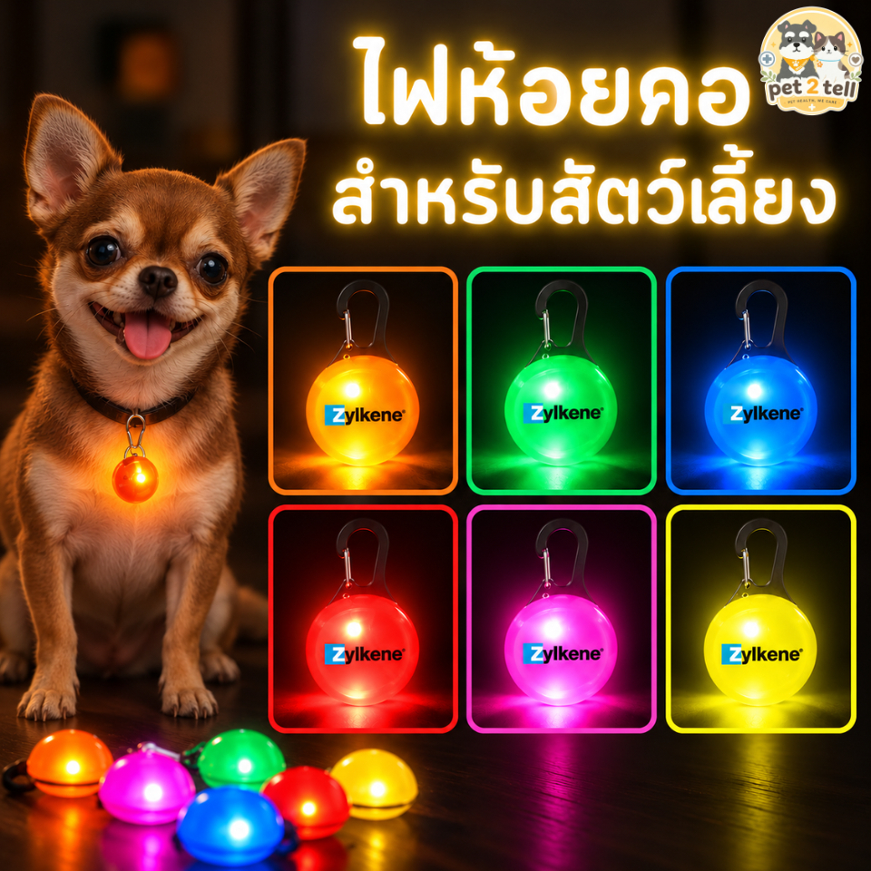 Pet 2 Tell ไฟห้อยคอน้องหมา น้องแมว สามารถเปิดไฟได้ มองเห็นทั้งตอนกลางวันและกลางคืน