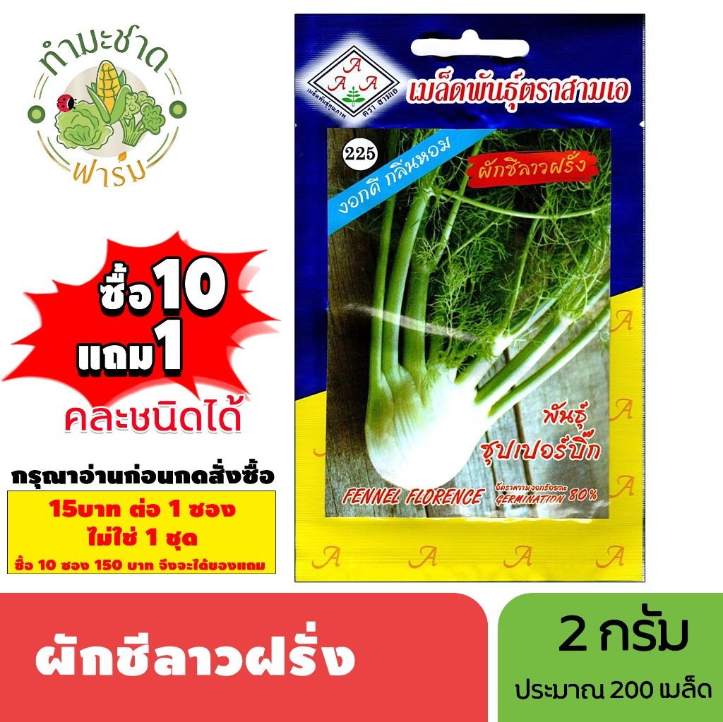[1ซอง] 3A (ซื้อ10แถม1) เมล็ดพันธุ์ ผักชีลาวฝรั่ง ขนาด2กรัม ประมาณ200เมล็ด FENNEL FLORENCE ผักชีลาว เมล็ดพันธุ์พืช เมล็ดผ