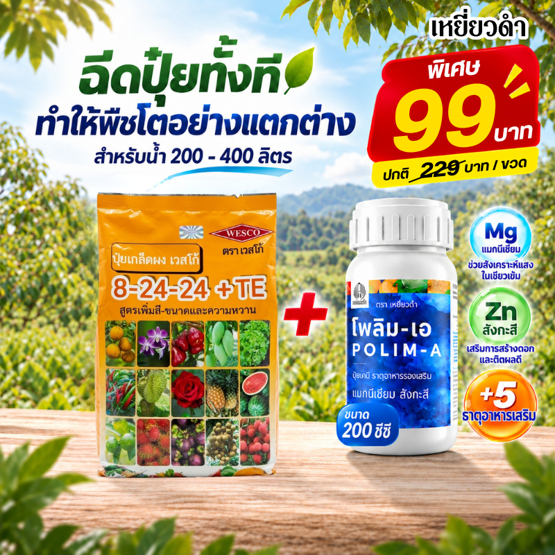 ปุ๋ยเกล็ด เวสโก้ สูตร 8-24-24+TE ปุ๋ยสะสมอาหาร เร่งออกดอก ปุ๋ยหวานขยายผล ปุ๋ยทุเรียน ลำไย มะม่วง ขนา
