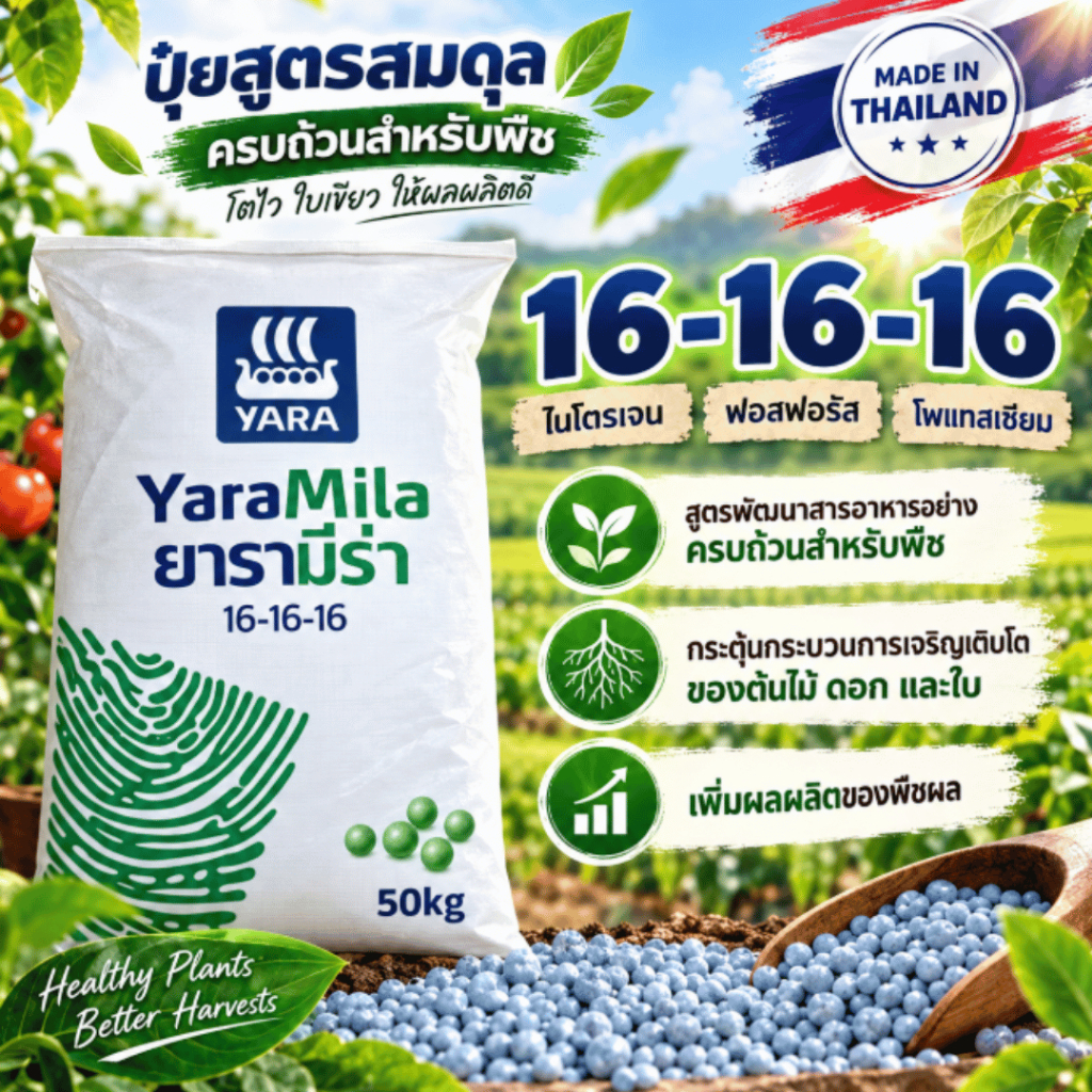 ปุ๋ย YARAMILA สูตร16-16-16 ปุ๋ยสูตรสมดุลที่สามารถใช้ได้กับพืชทุกประเภท ให้สารอาหารครบถ้วนสำหรับพืช ช่วยเพิ่มผลผลิตได้สูง