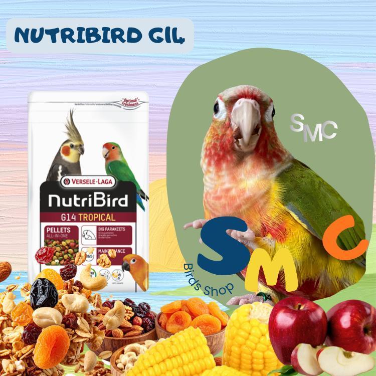 (แบ่งขาย) Nutribird G14 Tropical Pellet อาหารเม็ดสำเร็จรูปนกแก้วทุกชนิด (แบ่งขาย)