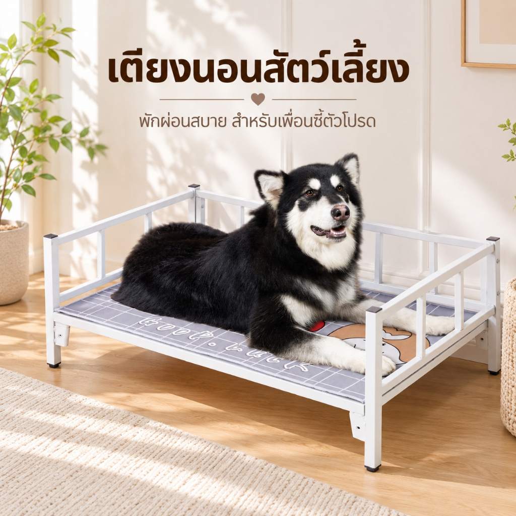 เตียงจัมโบ้สุนัข เตียงนอนสัตว์เลี้ยง ที่นอนสุนัข ที่นอนแมว เตียงเหล็กสัตว์เลี้ยง ทนทานสูง