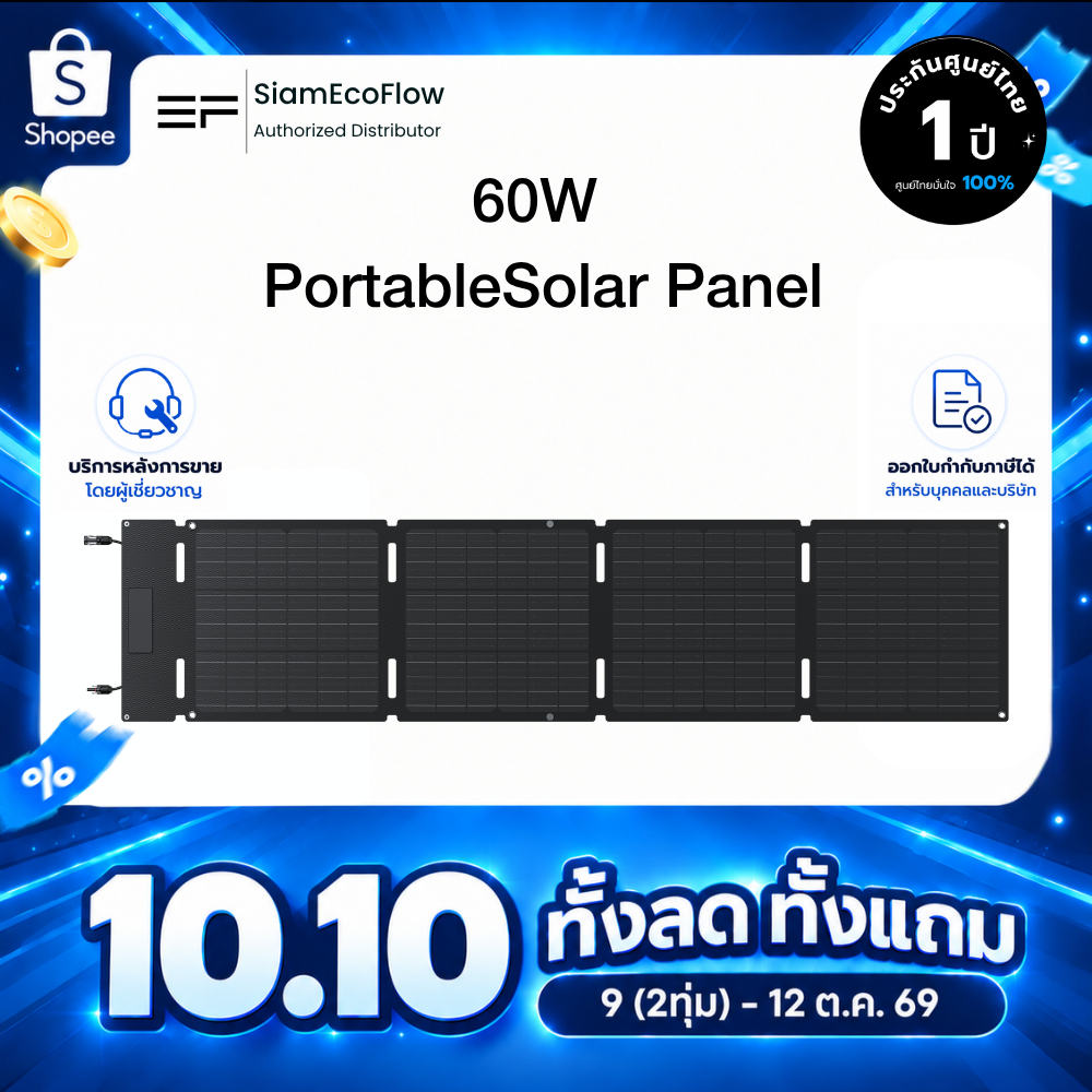EcoFlow 60W Solar Panel (Type-C)