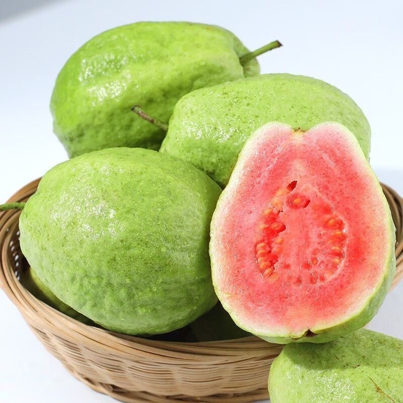 Bonsai Guava Seeds for Planting Fruit Plants (50Seed)100% Legit Bonsai Guava Seeds Gardening Fresh T