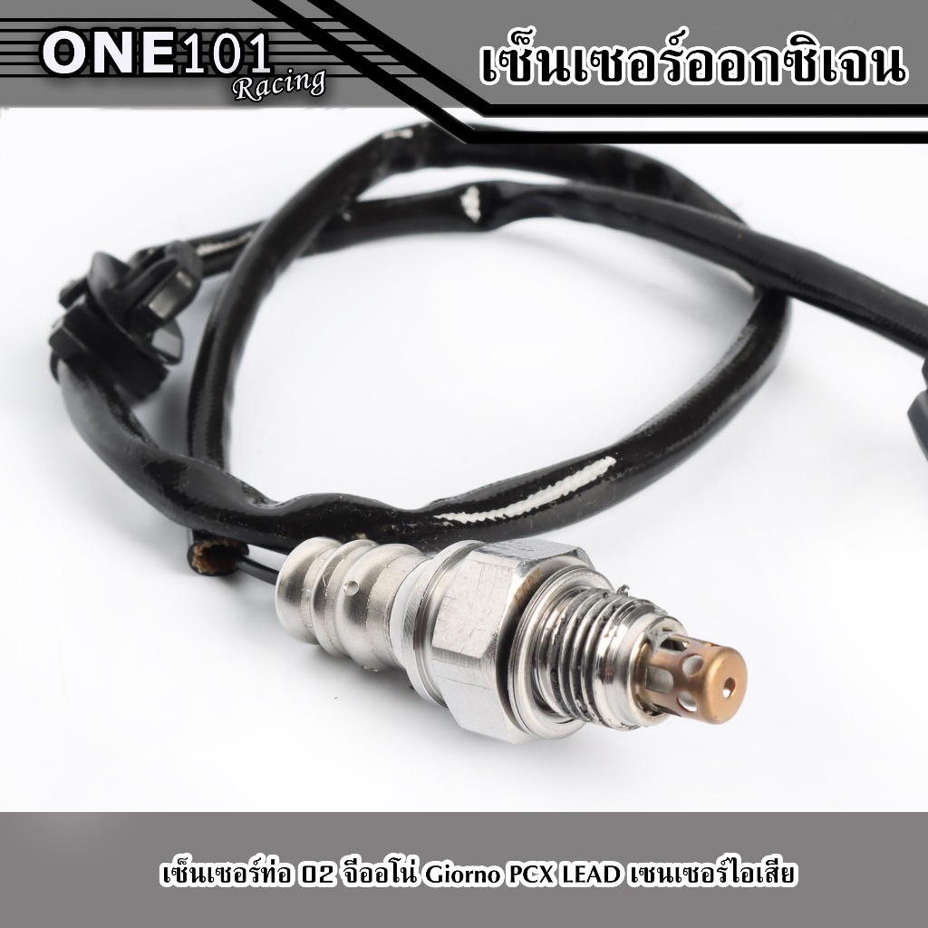 รูปภาพ 3