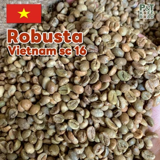 [💥กระสอบ 5 kg💯] สารกาแฟโรบัสต้าเวียดนาม SC16-18 | Dry Process or Natural Process P&T KoffRoad