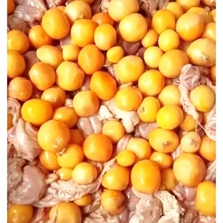 ไข่อ่อน ไก่(พวง) สด สะอาด รับประกันคุณภาพ