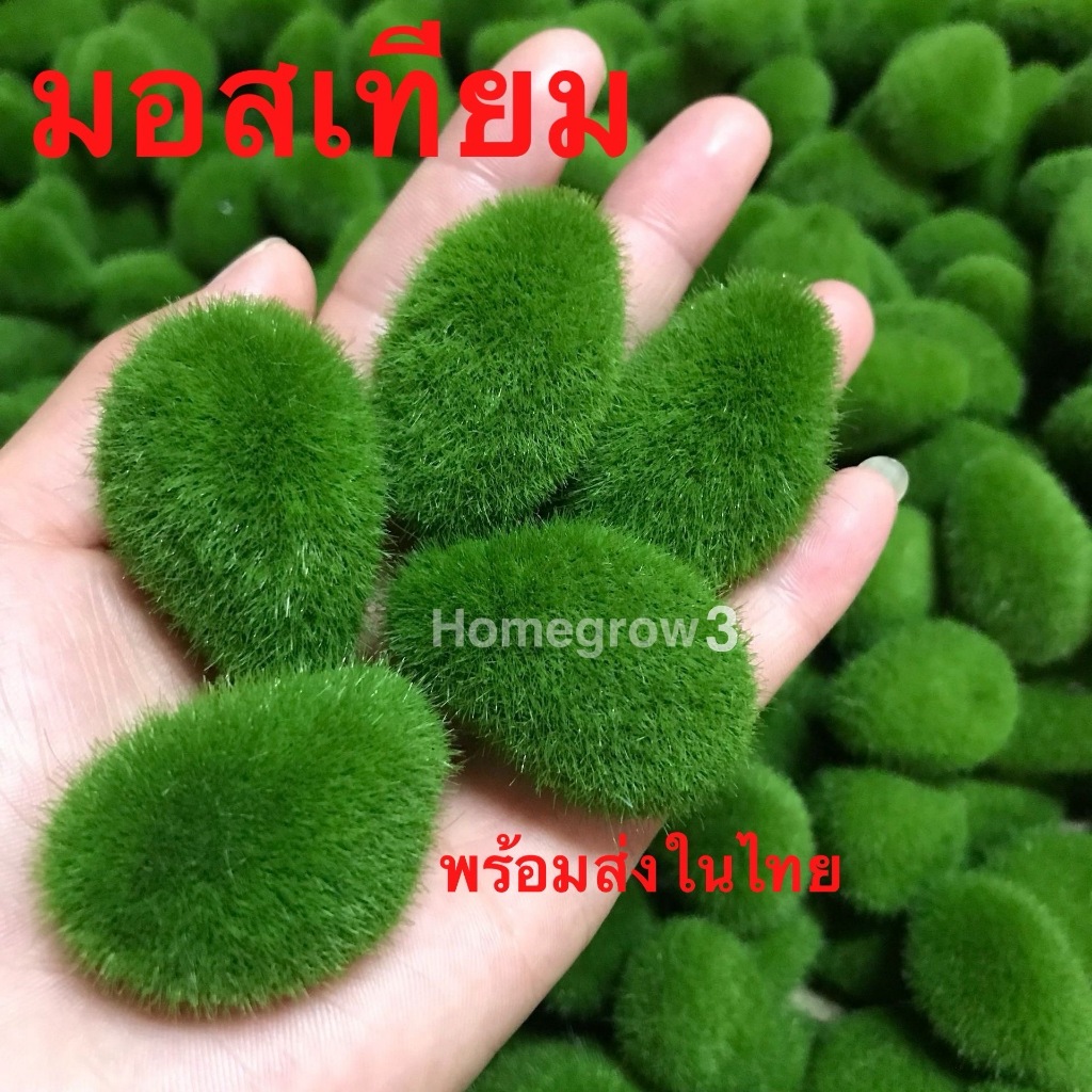 มอส มอสเทียม หญ้าปลอม หญ้าเทียม อุปกรณ์จัดสวนจิ๋ว สวนถาด ตู้ปลา