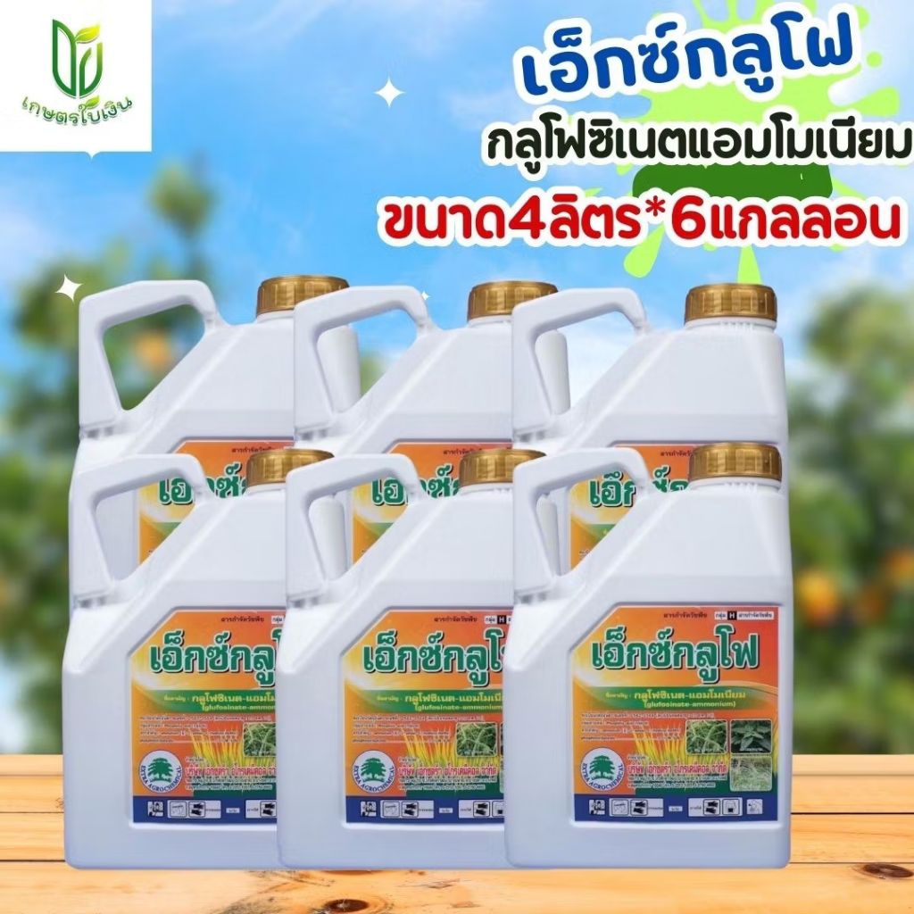 (ยกลัง4/6แกกลอน)เอ็กซ์กลูโฟ กลูโฟซิเนตแอมโมเนียม 4 ลิตร