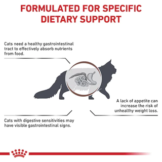 Royal Canin GastroIntestinal 400 g. อาหารแมว ประกอบการรักษาโรคระบบทางเดินอาหาร ถ่ายเหลว
