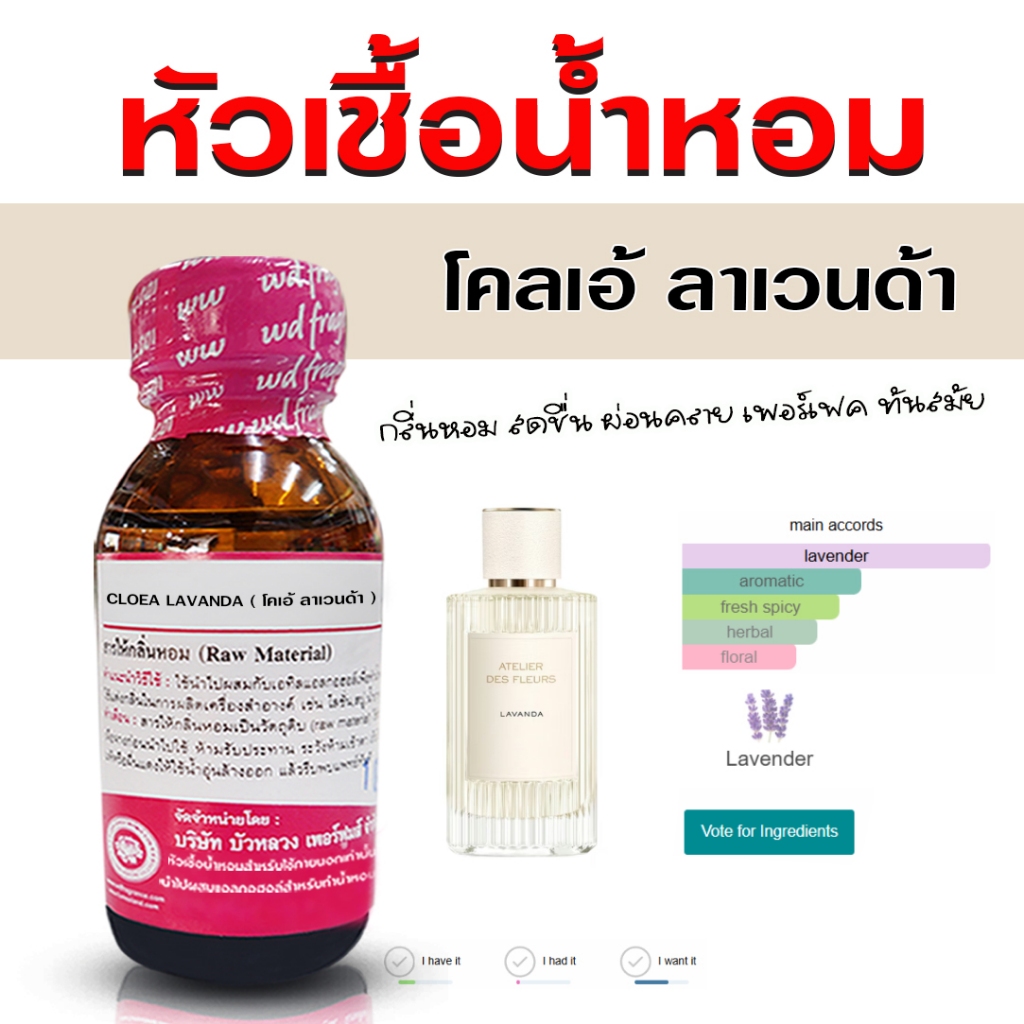 หัวเชื้อน้ำหอม 100% กลิ่น โคเอ้ ลาเวนด้า กลิ่นหอมสดชื่น อ่อนโยน หรูหรา ติดทนนาน ละมุน น่าทะนุถนอม - Bualuang Perfume