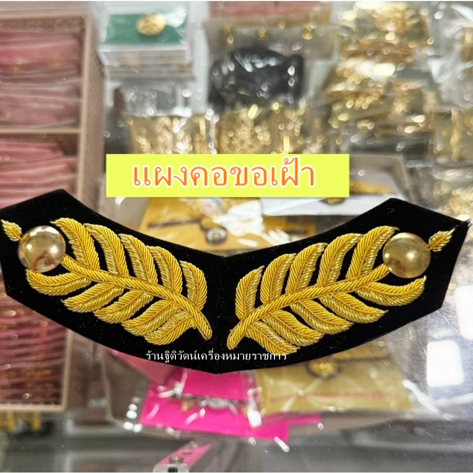แผงคอขอเฝ้า เครื่องหมายประดับแผงคอขอเข้าเฝ้า