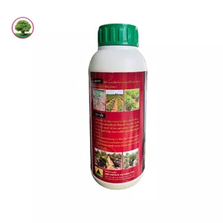 เพชรดำ ฮอร์โมนเร่งราก น้ำยาแช่ท่อนพันธ์มันสำปะหลัง ขนาด 500 ml. ยกลังมี 20 ขวด
