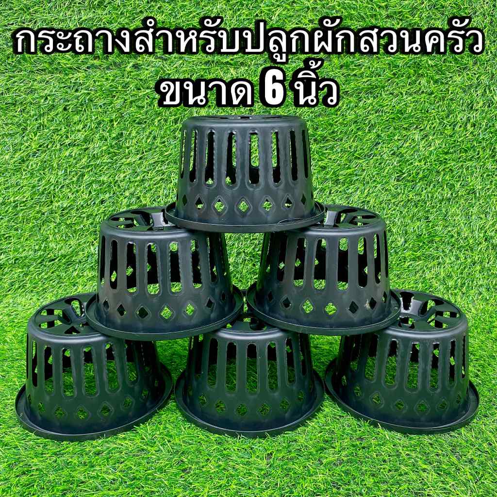 กระถางสำหรับปลูกผักสวนครัว ขนาด 6 นิ้ว - เกษตรกรรมยั่งยืน