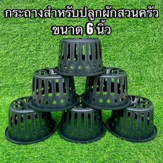 กระถางสำหรับปลูกผักสวนครัว ขนาด 6 นิ้ว - เกษตรกรรมยั่งยืน