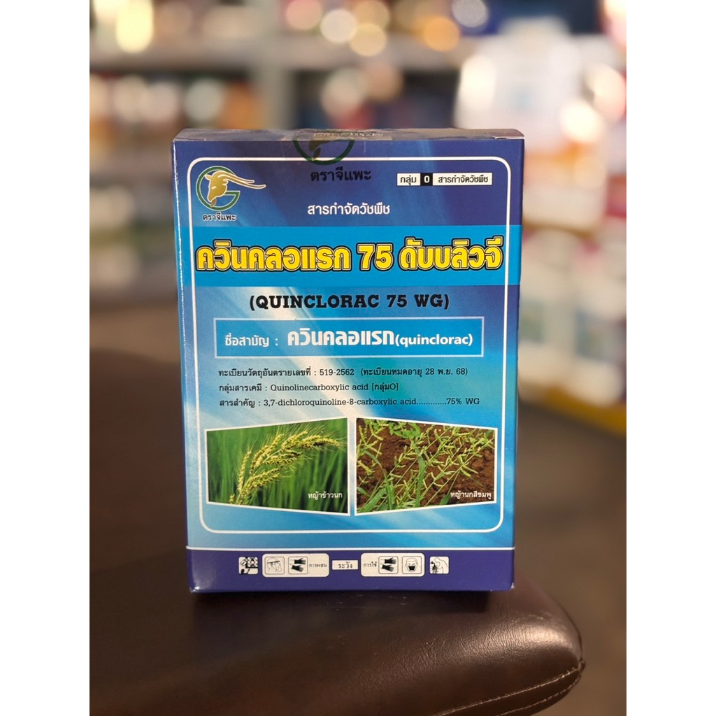 ควินคลอแรก 75 WG เปอร์เซ็นสูงที่สุด 75% กำจัดหญ้าข้าวนกในนาข้าว ผสมคุมฆ่าหรือฉีดเก็บหญ้า 15-30 วัน
