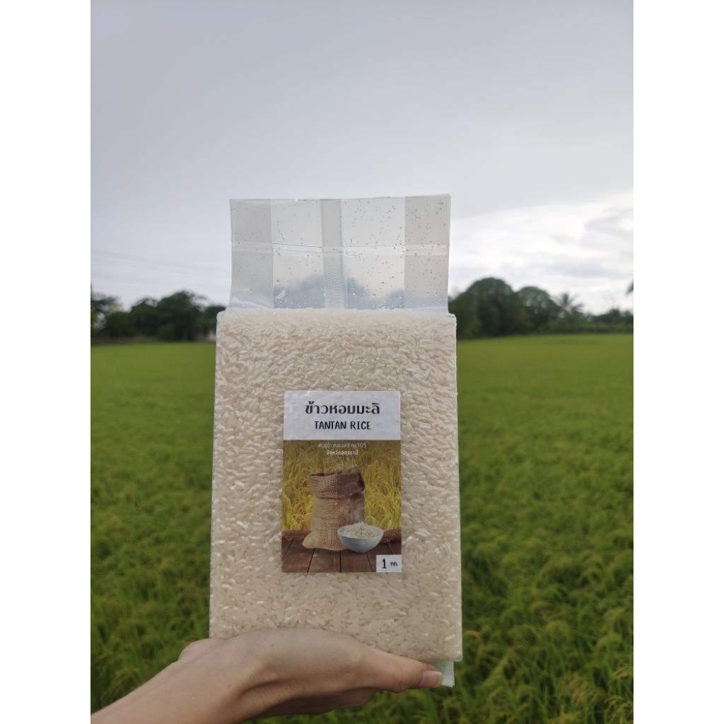 ข้าวใหม่ ข้าวหอมมะลิพันธุ์ กข105(TANTAN RICE )