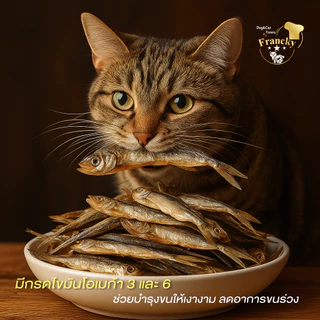 🐟 ปลาไข่ฟรีซดราย Francky ทานได้ทั้งตัว แคลเซียมเสริมกระดูก โปรตีนสูง บำรุงขนสวย สำหรับสุนัขและแมว