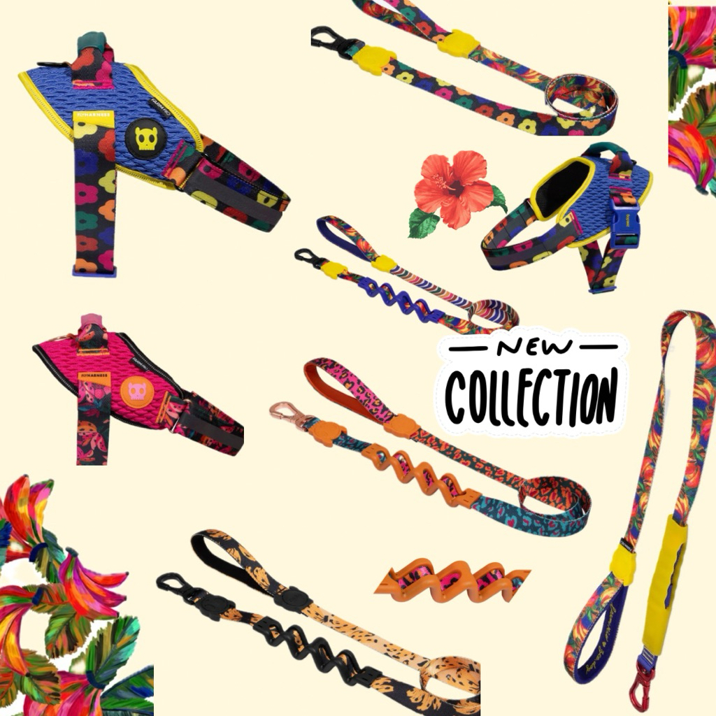 พรีออเดอร์ zeedog คอลใหม่ล่าสุด