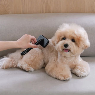 VELKYBARK [พร้อมส่ง] Likalika 🇰🇷 แปรงสัตว์เลี้ยง หวีสำหรับสัตว์เลี้ยง แปรงหวีขนสุนัข