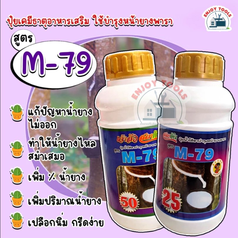 ยาทาหน้ายาง M-79 #50 เร่งน้ำยาง    ตราเงาะป่าห้าดาว ขนาด 500 ซีซี น้ำยางไหลสม่ำเสมอ