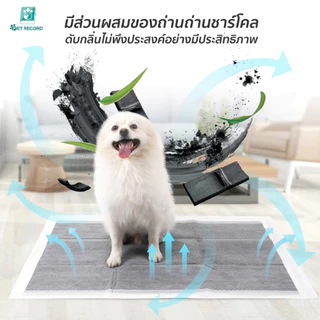 🔥 Pet Record แผ่นรองฉี่ถ่านไม้ไผ่ ซึมซับไว 5ชั้น ดับกลิ่น99% แห้งสบาย ไม่รั่วซึม แผ่นรองฉี่สุนัข 🐾