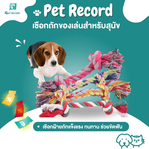 Pet Record สัตว์เลี้ยงสุนัขลูกสุนัขฝ้ายถักกระดูกสุนัขเชือกของเล่น 18 ซม. 23 ซม