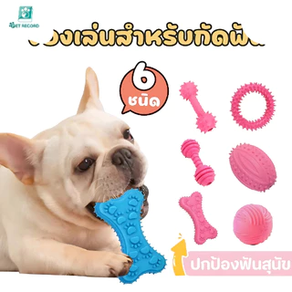 Pet Record ของเล่นสุนัข ของเล่นขัดฟันสุนัข ยางกัดแทะ ทำความสะอาดฟัน คุณภาพสูง วัสดุTPR ยางนุ่มปลอดภัย