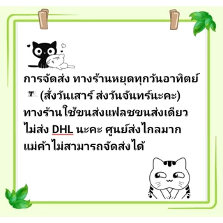 เข็มกลัดดอกไม้ผ้า ดอกไม้ลนไฟ หัวดอกไม้ เข็มกลัด ขนาด 6-7 เซนต์