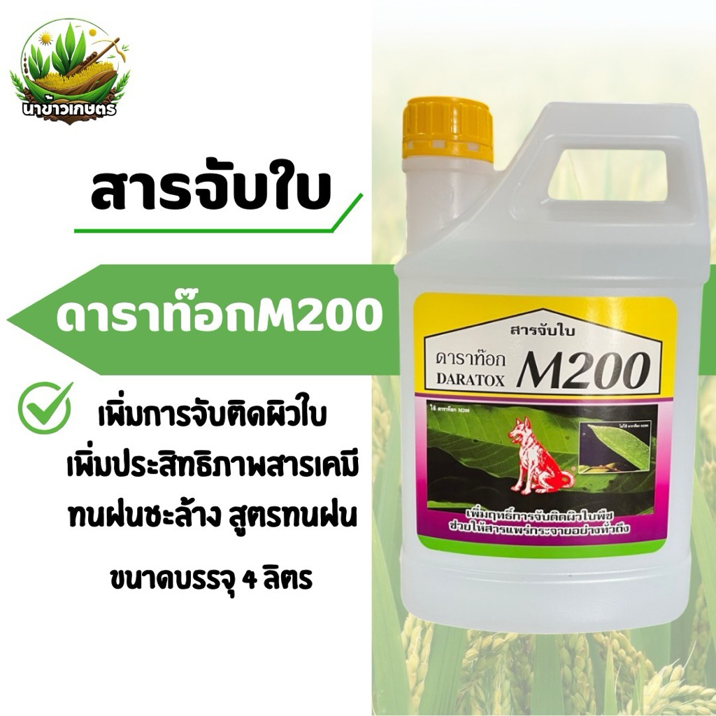 ดาราท๊อก M200 หมาแดง 4 ลิตร (สารจับใบ) ช่วยเพิ่มประสิทธิภาพการจับติดผิวใบ ทนฝน