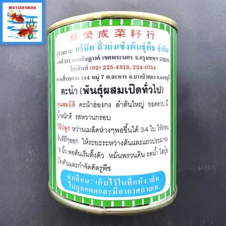 เมล็ดคะน้าฮ่องกง จัมโบ้ คะน้าหวาน กระป๋อง ขนาด 65, 500 กรัม ตราปลาทอง พันธุ์ คะน้าฮ่องกงจัมโบ้