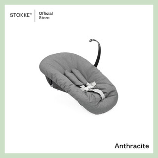 Anthracite