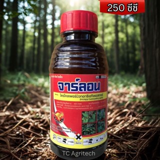ยาฆ่าตอ จาร์ลอน  250 ซีซี ยาฆ่าตอไม้ ไตรโคลเพอร์ กำจัดกก วัช…