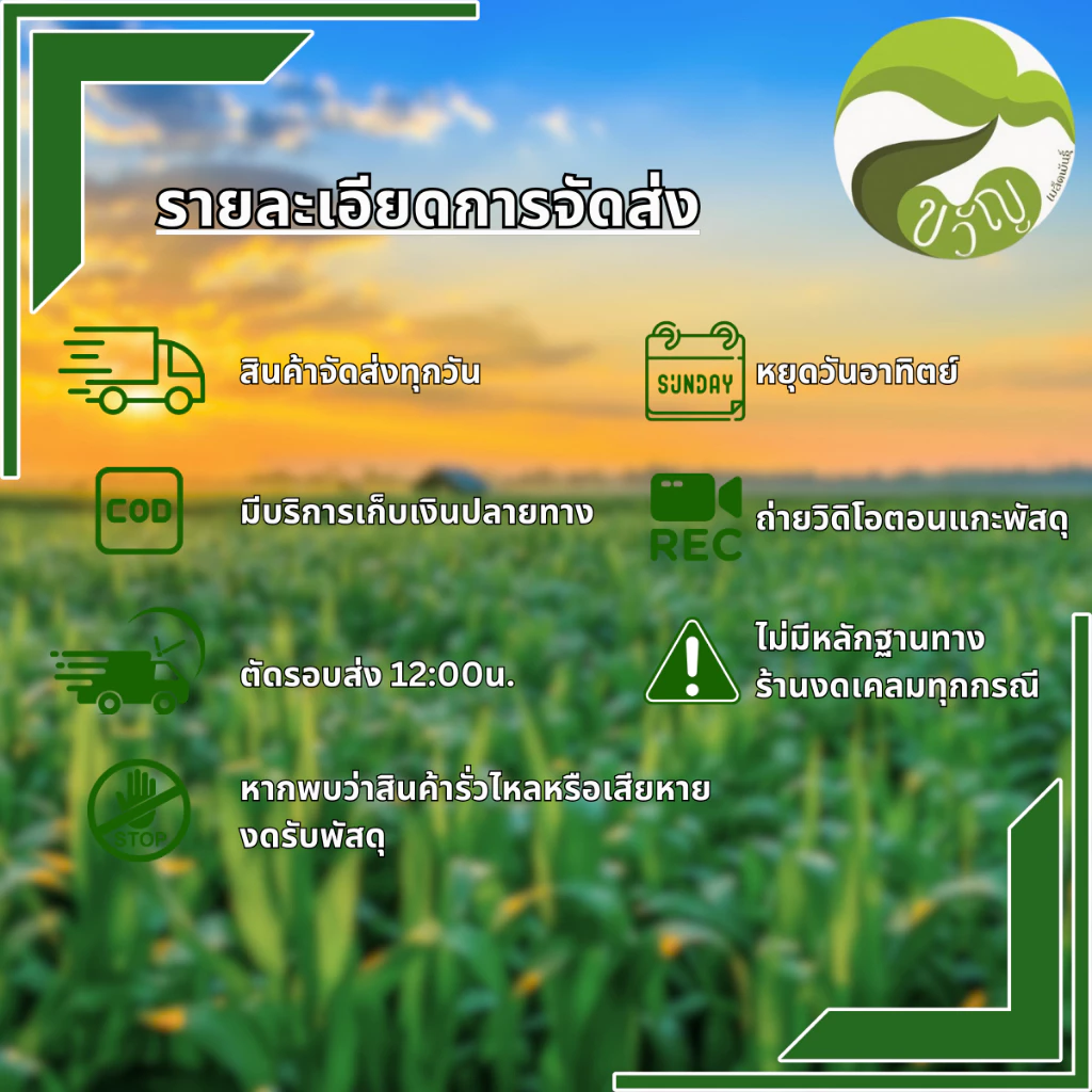 ตาข่ายปลูกผัก ตราเรือใบ ขนาด 180 ซม. 20ตา thumbnail 3
