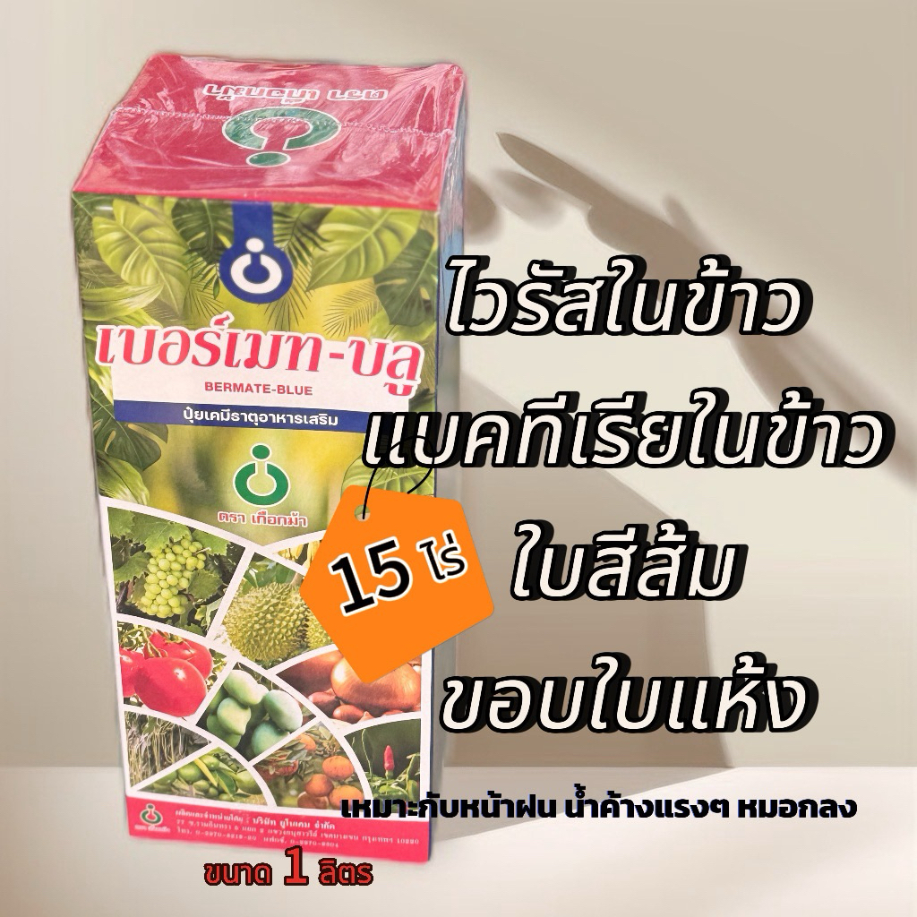 เบอร์เมทบลู ไวรัสแบคทีเรียในข้าว