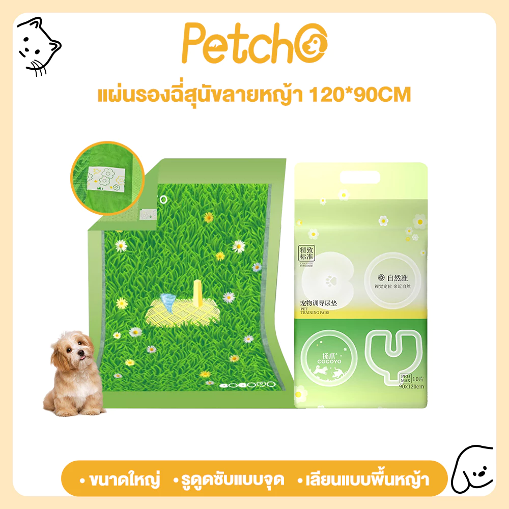 Petcho (Cocoyo) แผ่นรองฉี่สุนัข ขนาดใหญ่พิเศษ แผ่นรองฉี่หญ้า ที่หมาชอบ กระตุ้นการขับถ่ายปัสสาวะ รูดูดซับแบบจุด