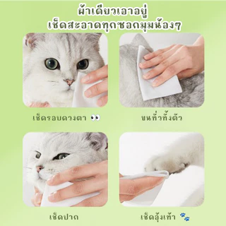 STOCK ทิชชู่เปียกสุนัข ทิชชู่เปียกแมว กระดาษเปียกทำความสะอาดสัตว์เลี้ยง ทิชชู่เปียกสัตว์เลี้ยง 80 แผ่น 🐶🐱